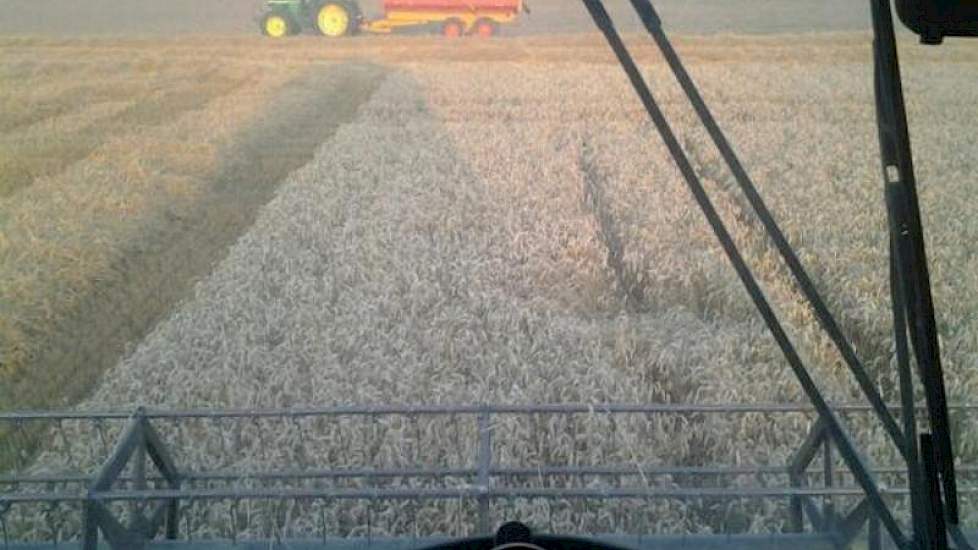 Michel Buijsse uit Biervliet was gisteren ook weer aan de slag met zijn combine. ‘Machtig mooi werk’, twittert hij. De tarwe was keurig rijp, laat hij weten. ’15,5 tot 15,2 procent. Dorst als een trein.’ Ook in Flevoland reden gisteren weer de eerste comb