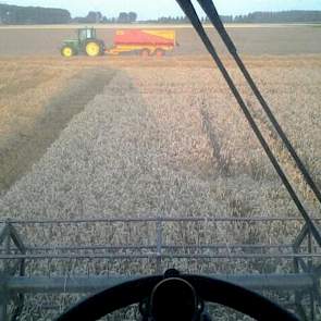 Michel Buijsse uit Biervliet was gisteren ook weer aan de slag met zijn combine. ‘Machtig mooi werk’, twittert hij. De tarwe was keurig rijp, laat hij weten. ’15,5 tot 15,2 procent. Dorst als een trein.’ Ook in Flevoland reden gisteren weer de eerste comb
