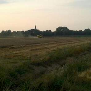 En ook in het land van Maas en Waal draaiden gisteren de combines weer, twittert Gerard Meuffels van proefboerderij Vredepeel. In Biervliet was Ivo Haartsen gisteren weer aan het dorsen. ‘De 5 mm van zondag is alweer verdampt. De tarwe is weer droog: 15,8
