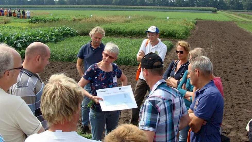 Elders in het veld geeft Willemien Runia van Wageningen UR/PPO-AGV toelichting over het effect van de zaaidichtheid op aaltjes in de peen.