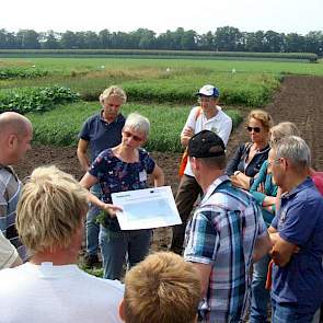 Elders in het veld geeft Willemien Runia van Wageningen UR/PPO-AGV toelichting over het effect van de zaaidichtheid op aaltjes in de peen.