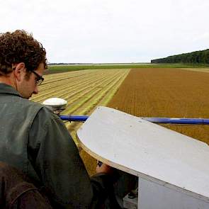 De stengels worden gebruikt voor de vezel of voor de papierindustrie, afhankelijk van de kwaliteit.