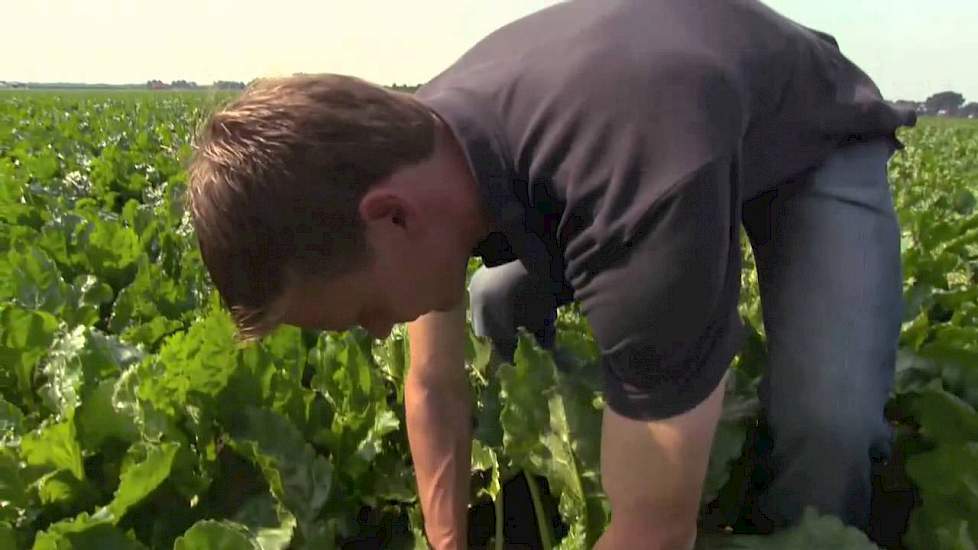 Van paardenkracht tot satelliet