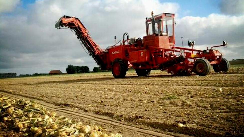 Michiel Buijsse is uien aan het opladen met zijn Amac ZM2 rooier. ‘Een oerdegelijke machine’, laat de akkerbouwer uit Biervliet weten. ‘Mooi werk.’