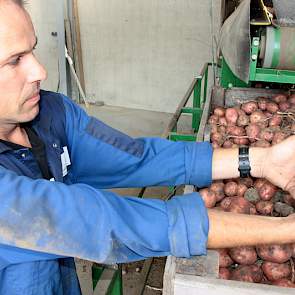 Arno Vael is pootgoedteler in Zaamslag(Zeeuws-Vlaanderen) Hij bekijkt een partij Bartina. De aardappelen zijn behoorlijk grof gegroeid maar dat is geen probleem. De maat kan tot 60 goed afgeleverd worden. Alle aardappels gaan op het bedrijf van Vael in ki