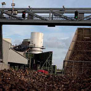 Op basis van de laatste opbrengstverwachting van 12,6 ton suiker verwacht Suiker Unie dat de bietencampagne tot circa 10 januari zal duren. Foto: Suiker Unie