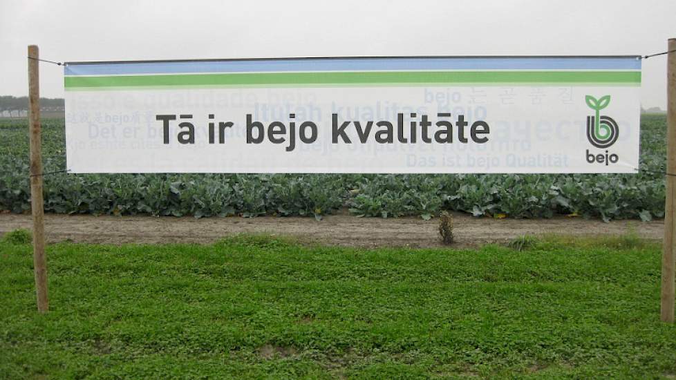 Nederlandse kool is ook in het buitenland een zeer populair product, weten ze bij Bejo.