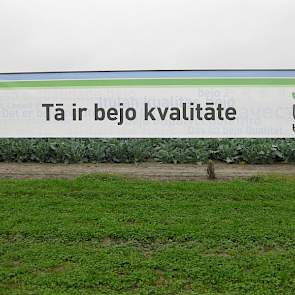 Nederlandse kool is ook in het buitenland een zeer populair product, weten ze bij Bejo.