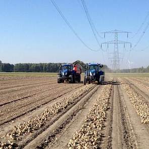 Zijn collega Jaap Jonker heeft ook een foto gemaakt van het laden van Hytech: ‘Wederom een prachtige dag om uien te laden. Hytech in Swifterbant: grof en kilo’s.’