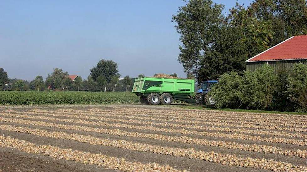 De kipper vertrekt naar de schuur. De uien worden zelf ingeschuurd.