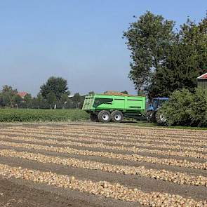 De kipper vertrekt naar de schuur. De uien worden zelf ingeschuurd.