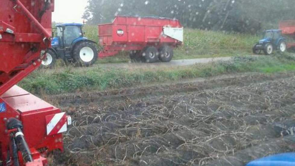 Vanmorgen wilde de akkerbouwer uit Soerendonk verder rooien, maar de regen gooide roet in het eten. ‘Daar staan we dan. Wachten tot de regen voorbij is’, zegt Twan van der Heijden.