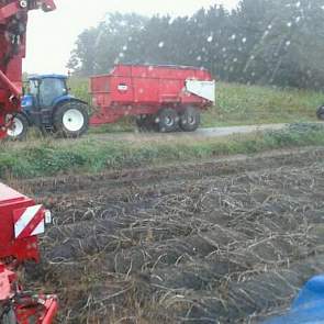 Vanmorgen wilde de akkerbouwer uit Soerendonk verder rooien, maar de regen gooide roet in het eten. ‘Daar staan we dan. Wachten tot de regen voorbij is’, zegt Twan van der Heijden.