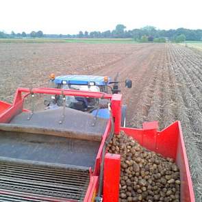 Twan van der Heijden rooide gisteren Fontanes op een perceel waar nog nooit aardappelen hebben gestaan. De opbrengsten lijken goed. ’62 ton per hectare. Dit jaar bovengemiddeld’, aldus de akkerbouwer uit Soerendonk. Hij heeft alle aardappelen in dit gebie