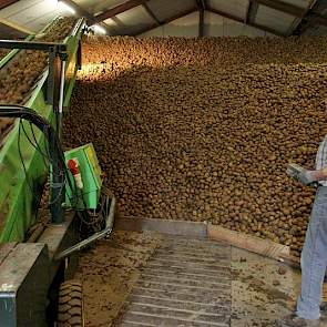 Vader Gerrit Minkhorst zorgt dat de aardappelen goed in de opslag komen.
