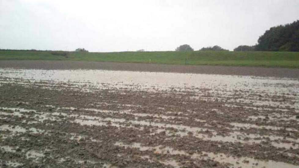 Crisis bij Waterschap Hollandsdelta, twittert de Ondernemingspolder in Zwartewaal. ‘Het loket is niet bereikbaar en alle drainage staat onder water, de tarwe verzuipt.’ Ook Klaasjan Boer uit Kortgene roept zijn waterschap op tot actie. ‘Is het zondag bij