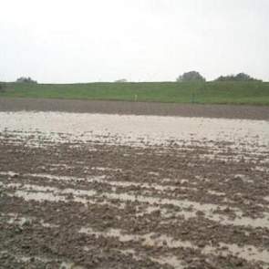 Crisis bij Waterschap Hollandsdelta, twittert de Ondernemingspolder in Zwartewaal. ‘Het loket is niet bereikbaar en alle drainage staat onder water, de tarwe verzuipt.’ Ook Klaasjan Boer uit Kortgene roept zijn waterschap op tot actie. ‘Is het zondag bij