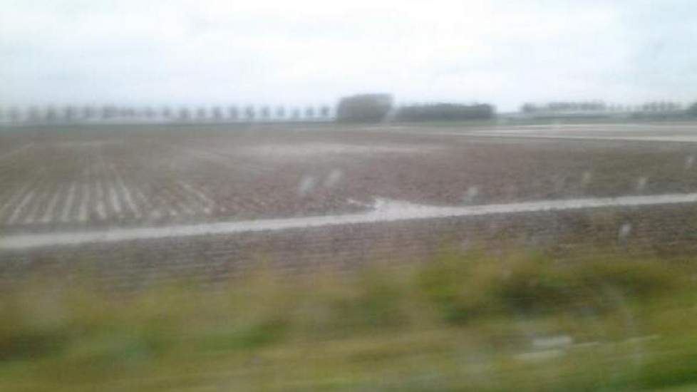 Nils van Tilbeurgh heeft vanmiddag een perceel aardappelen gefotografeerd. ‘Daar springen de tranen van in je ogen’, zegt de akkerbouwer uit Oud Vossemeer.
