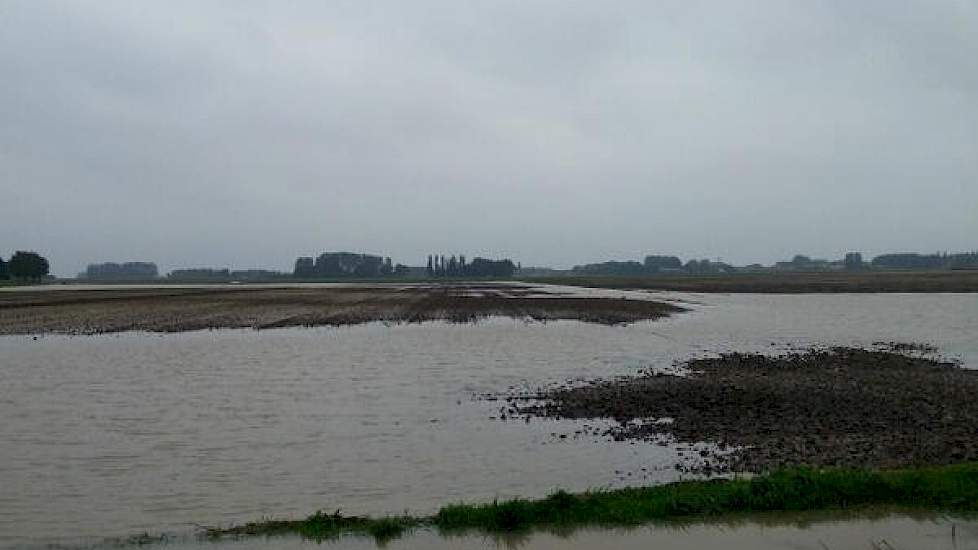 Een pittig einde van het oogstseizoen als gevolg van zware regen, twittert FarmFrites. Deze foto is genomen bij Oudenhoorn.