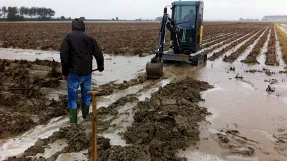 De  vele regen van het afgelopen weekeinde zal helaas niet zonder gevolgen blijven voor een deel van onze aardappelen’, zegt bedrijfsleider Sam de Vlieger van proefboerderij Rusthoeve.