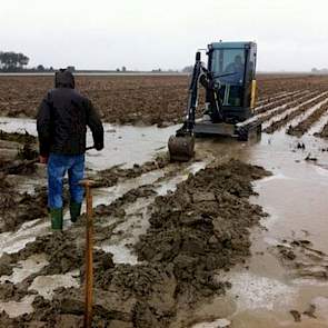 De  vele regen van het afgelopen weekeinde zal helaas niet zonder gevolgen blijven voor een deel van onze aardappelen’, zegt bedrijfsleider Sam de Vlieger van proefboerderij Rusthoeve.