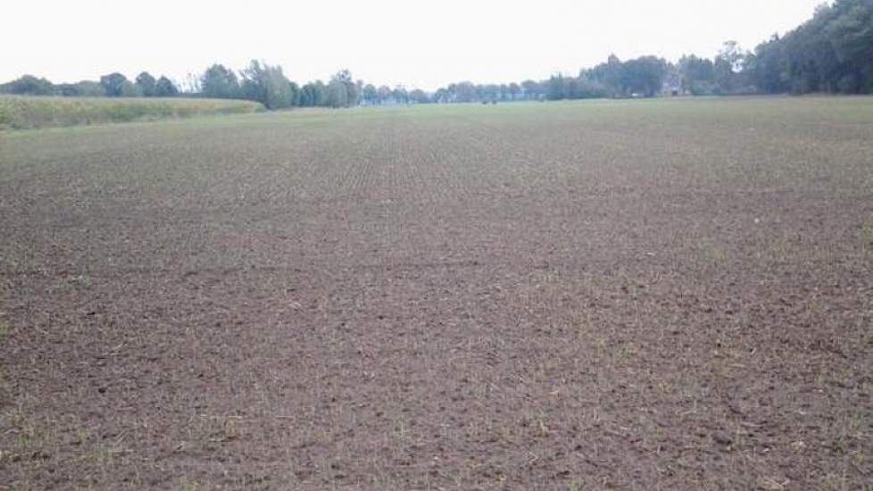 De wintergerst van Henk Wansink staat er goed op na 60 mm in 3 dagen, vindt de akkerbouwer uit Laren (Gld.).