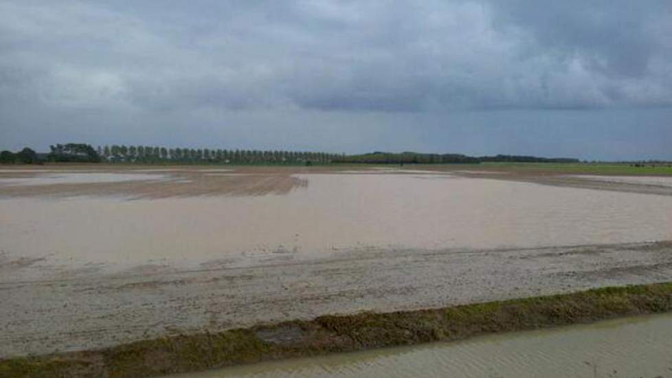 Wateroverlast in Melisant. Perceel ingezaaide wintertarwe moet als verloren worden beschouwd, aldus Joke de Geus.