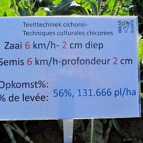 Resultaat van zaaien met 6 km per uur en 2 cm zaaidiepte: opkomst 56% en 132.000 planten per hectare.