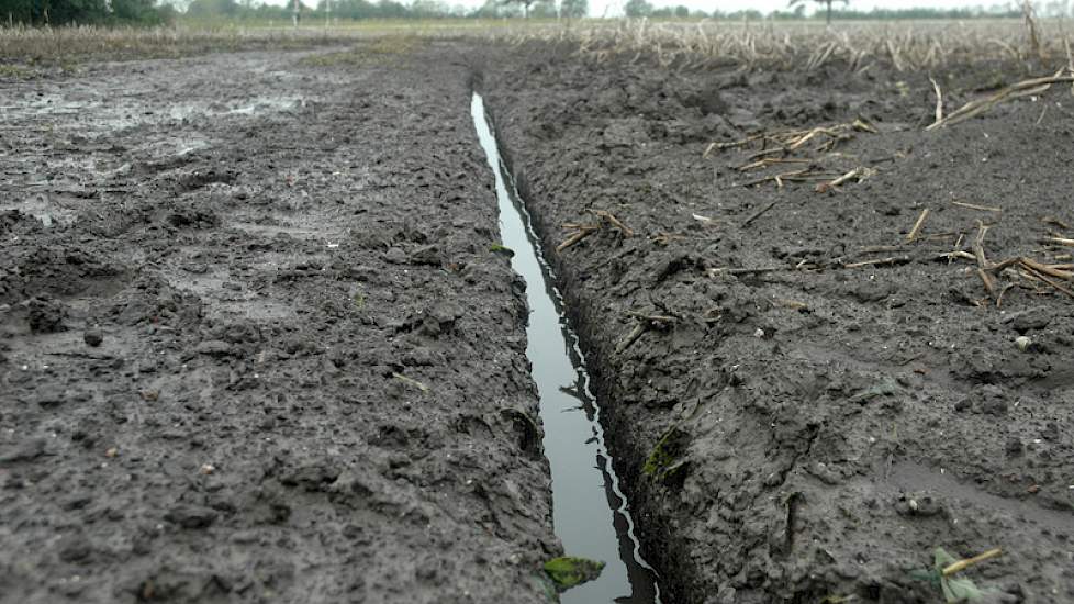 Een afwateringsgeul in de aardappelen.