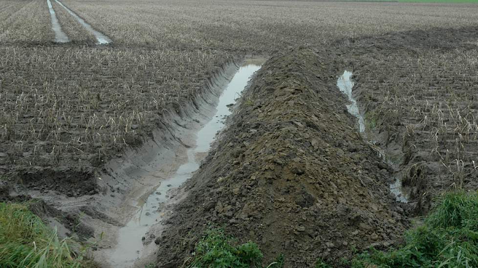 Ook op Schouwen-Duiveland zijn veel geulen te vinden in de kletsnatte percelen. De geulen zijn gegraven met de schep of, zoals op dit perceel, met kranen. Deze geul is zeker 60 cm diep.