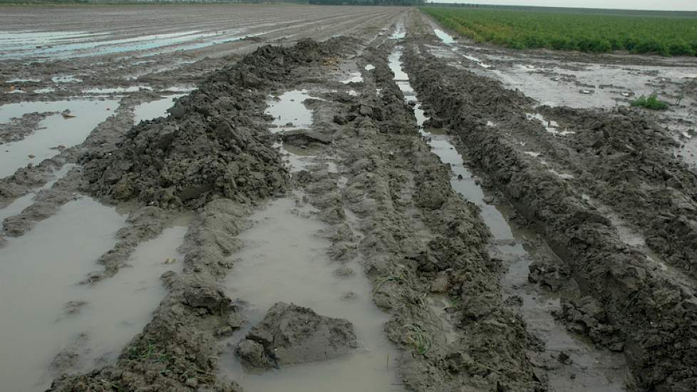 In het naastgelegen perceel, waarvan de uien voor de regen waren geoogst, is een diepe geul getrokken om het water van het land af te laten lopen. Ondanks deze maatregel staat er nog steeds veel water op het perceel.