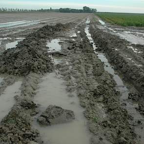 In het naastgelegen perceel, waarvan de uien voor de regen waren geoogst, is een diepe geul getrokken om het water van het land af te laten lopen. Ondanks deze maatregel staat er nog steeds veel water op het perceel.