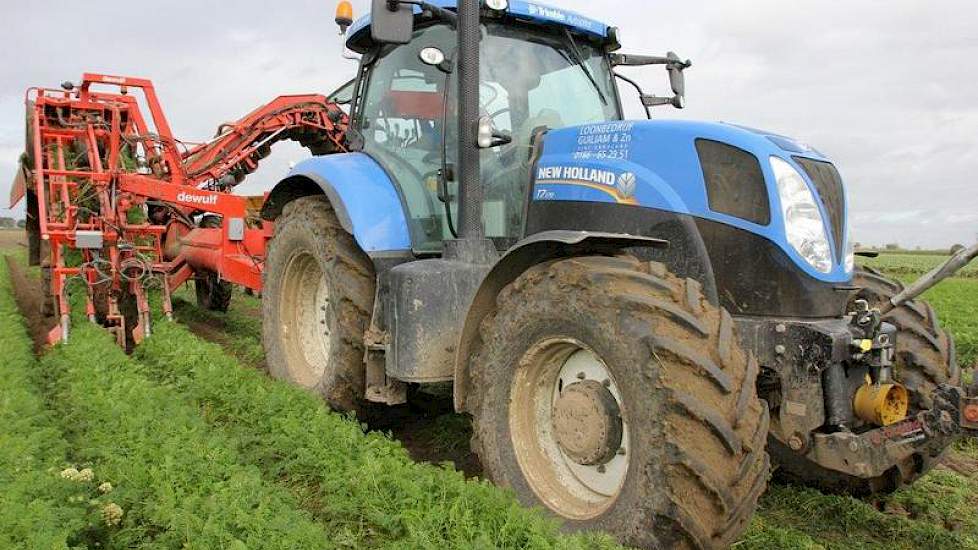 De peen wordt gerooid door loonbedrijf Guiljam uit Sint-Annaland.