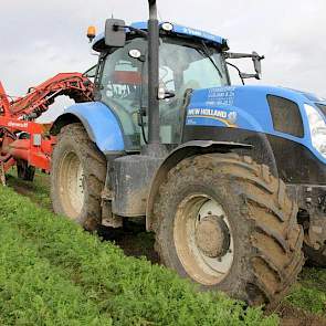 De peen wordt gerooid door loonbedrijf Guiljam uit Sint-Annaland.