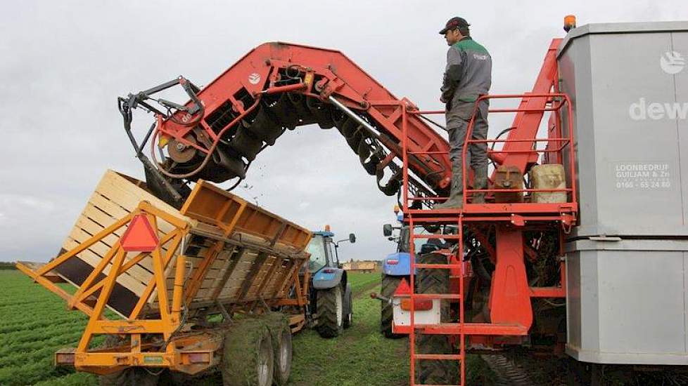 De Witte (staand op de rooier) teelt in totaal 14,2 hectare peen. Het ras dat hier wordt gerooid, is Nerac. Het is de eerste peen van De Witte die wordt gerooid.