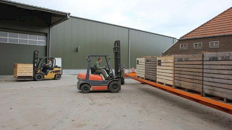 Met twee heftrucks wordt de kar met de vrije peen bij het koelhuis leeggehaald en gevuld met lege kisten. Dan weer snel naar het land.