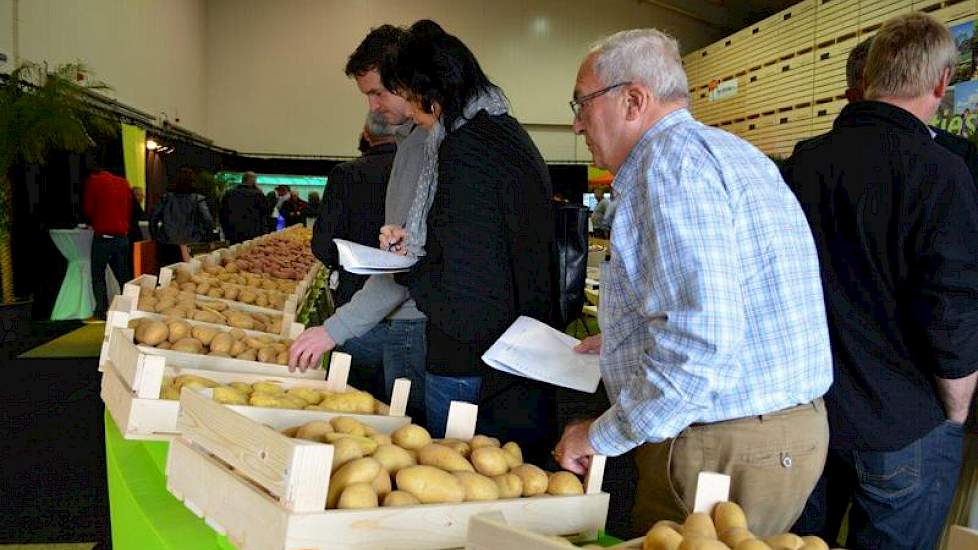Ook bij Europlant is veel bezoek. Het Duitse handelshuis hoopt ook op de Nederlandse markt nog veel telers aan zich te binden.  ‘We willen hier graag verder groeien’, zegt directeur Jan Janse. Hij verwacht dat het rassenpakket van Europlant telers over de