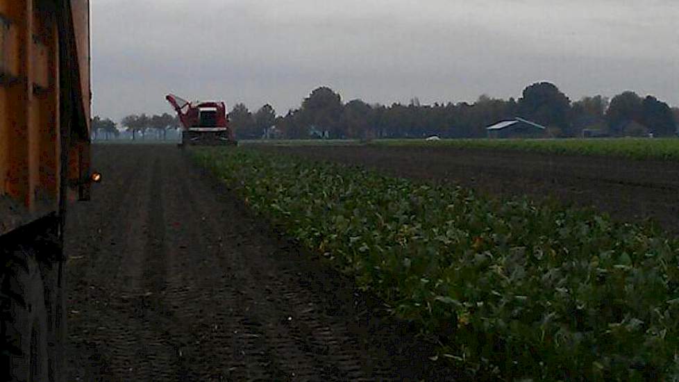 De bieten van Eggens worden gerooid door loonbedrijf Wardenier uit Vroomshoop.