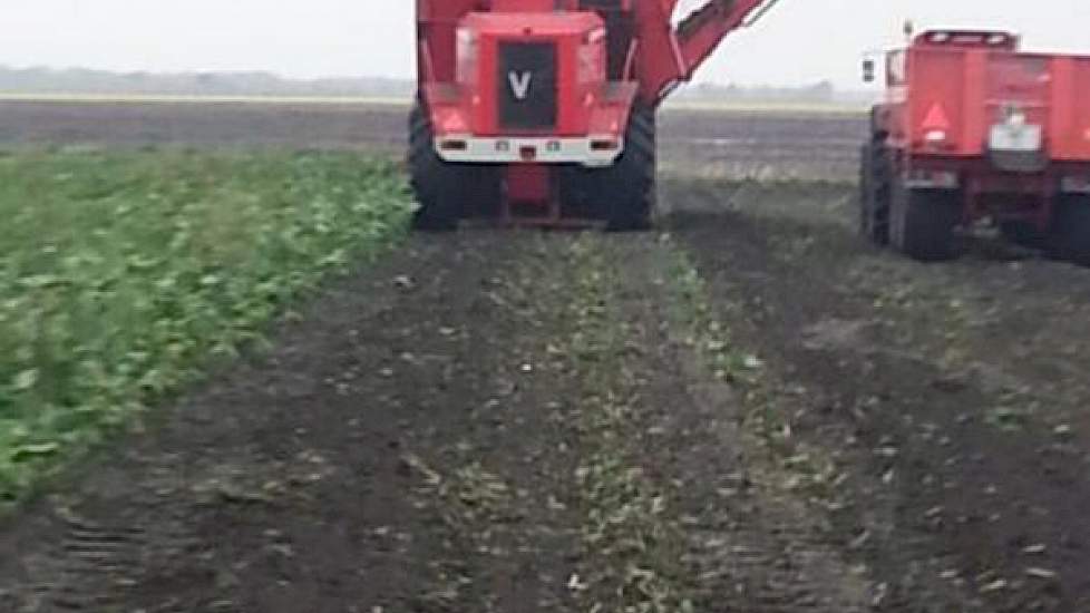 Bieten rooien gaat ondanks de nattigheid toch wel goed, laat Harjo Hoiting, akkerbouwer in Eexterveen weten.