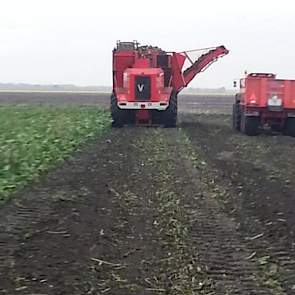Bieten rooien gaat ondanks de nattigheid toch wel goed, laat Harjo Hoiting, akkerbouwer in Eexterveen weten.
