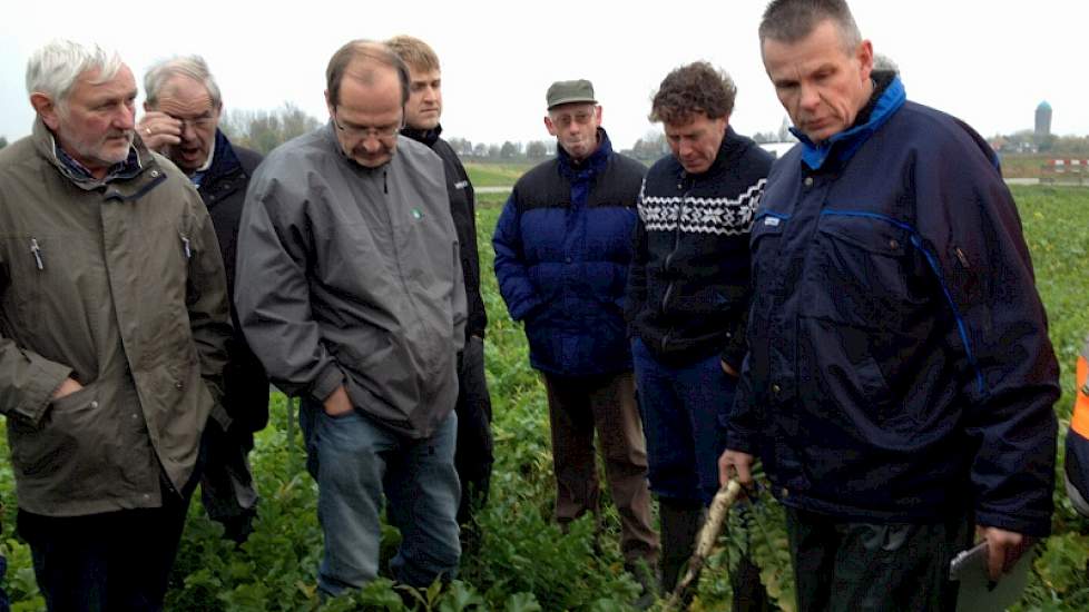 Akkerbouwers kijken naar de bewortelingsdiepte en intensiteit van beworteling.