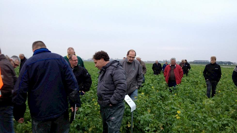 Er is ook een startmeting op aaltjes gedaan in alle groenbemesters om deels te kunnen zien hoe deze ontwikkeling zal verlopen, aldus Struik. 'In de demo van afgelopen jaar was geen vermeerdering van enig aaltje gemeten. De filosofie is dat met de mengsels