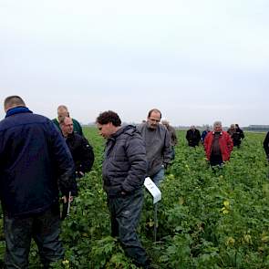 Er is ook een startmeting op aaltjes gedaan in alle groenbemesters om deels te kunnen zien hoe deze ontwikkeling zal verlopen, aldus Struik. 'In de demo van afgelopen jaar was geen vermeerdering van enig aaltje gemeten. De filosofie is dat met de mengsels
