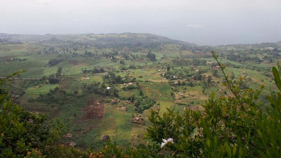 Voor de rest ziet hij vooral mogelijkheden die hij de komende jaren wil oppakken. Hij ziet zichzelf dan ook niet snel vertrekken uit Kenia. „Er is veel land beschikbaar, er is goedkope arbeid en er heerst een fantastisch klimaat.”