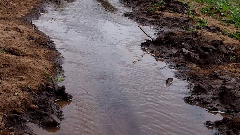 De grondprijzen in Kenia variëren sterk per regio. Rond Lake Naivasha liggen de prijzen rond de 65.000 euro per hectare. In de omgeving van de hoofdstad Nairobi praat je over prijzen richting de 300.000 euro per hectare.