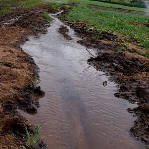 De grondprijzen in Kenia variëren sterk per regio. Rond Lake Naivasha liggen de prijzen rond de 65.000 euro per hectare. In de omgeving van de hoofdstad Nairobi praat je over prijzen richting de 300.000 euro per hectare.