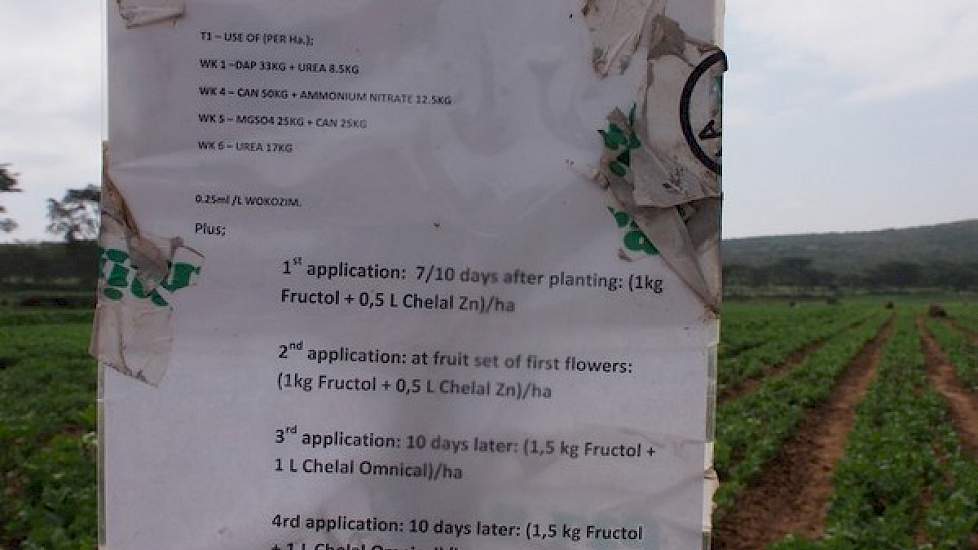 Het bemestingsplan bestaat uit: ammonium, KAS, calciumsulfaat, magnesiumsulfaat en urea. Verder wordt gebruikt gemaakt van groenbemester. Dierlijke mest is schaars in Kenia.