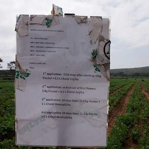 Het bemestingsplan bestaat uit: ammonium, KAS, calciumsulfaat, magnesiumsulfaat en urea. Verder wordt gebruikt gemaakt van groenbemester. Dierlijke mest is schaars in Kenia.
