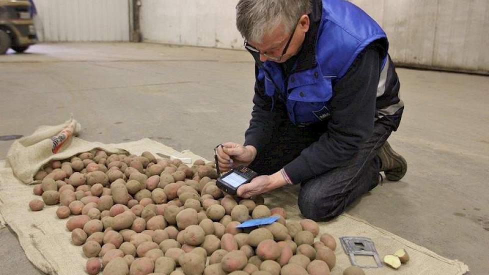 Keurmeester Herman Meeuwes heeft één zak aardappelen uit de stapel gehaald om de inhoud te keuren. Met zijn PDA stuurt hij de keuringsgegevens door naar Emmeloord. De aardappelen die tot op dat moment zijn gesorteerd en goedgekeurd, zijn vrij voor export.