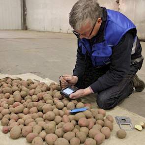 Keurmeester Herman Meeuwes heeft één zak aardappelen uit de stapel gehaald om de inhoud te keuren. Met zijn PDA stuurt hij de keuringsgegevens door naar Emmeloord. De aardappelen die tot op dat moment zijn gesorteerd en goedgekeurd, zijn vrij voor export.